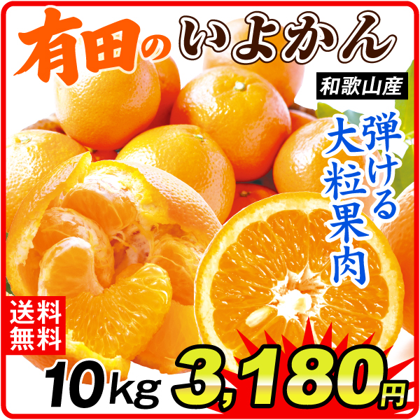 みかん 10kg 有田のいよかん 伊予柑 和歌山産 ご家庭用 送料無料 食品