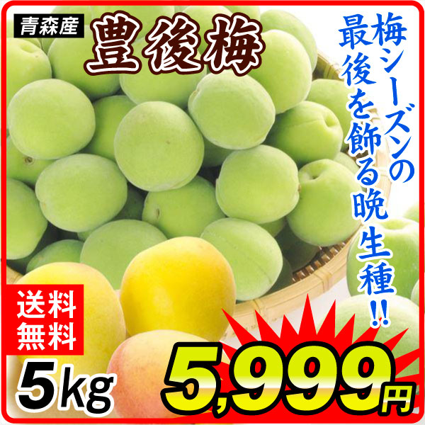 梅 5kg 豊後 青森産 青梅・黄梅のどちらかをお届け 晩生 送料無料 食品