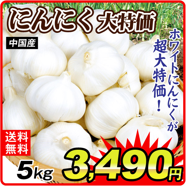 にんにく 大特価 5kg 中国産 大蒜 野菜 まとめ買い 送料無料 食品