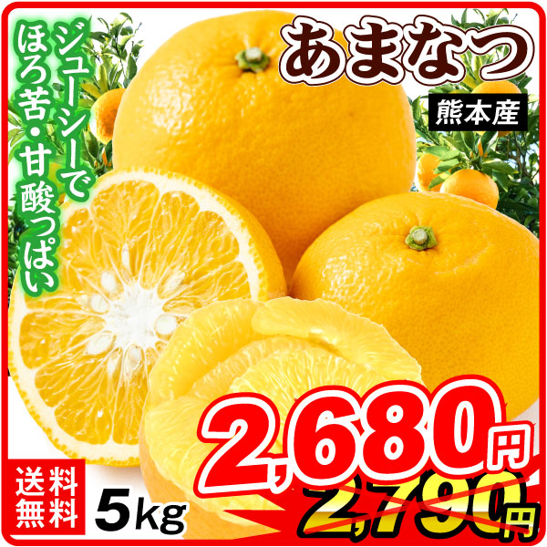 みかん 10kg 甘夏 熊本産 ご家庭用 あまなつ 柑橘 果物 フルーツ 送料無料 食品
