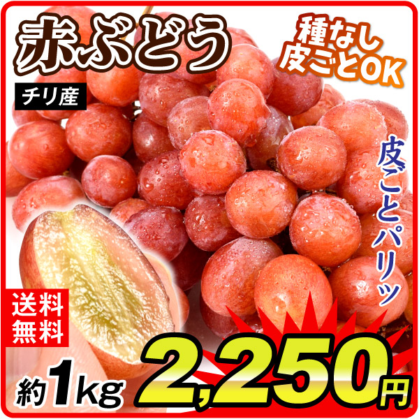 ぶどう 約1kg 赤ぶどう チリ産 種無し 皮ごと 葡萄 果物 送料無料 食品