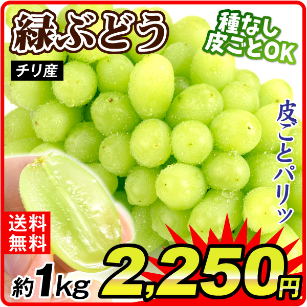 ぶどう 約1kg 緑ぶどう チリ産 種無し 皮ごと 葡萄 果物 送料無料 食品