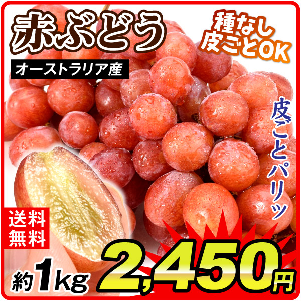ぶどう 約1kg 赤ぶどう オーストラリア産 種無し 皮ごと 葡萄 果物 送料無料 食品