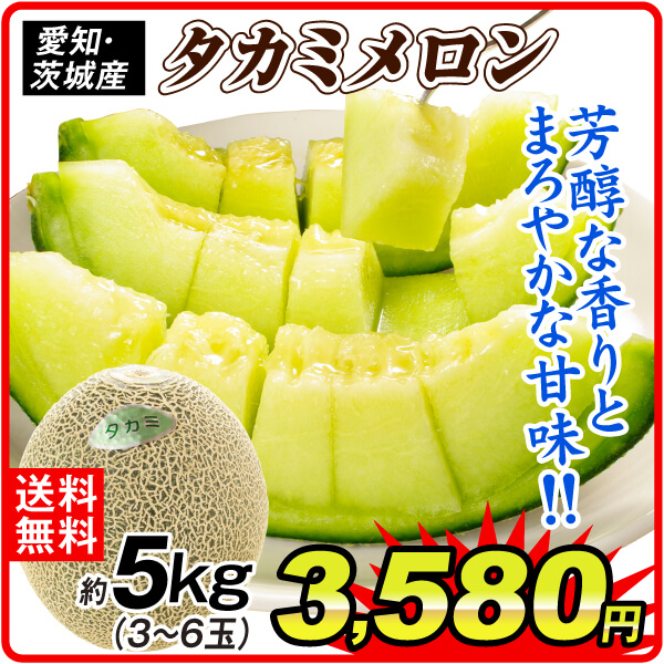 メロン 約5kg 愛知・茨城産 タカミメロン タカミ 貴美 送料無料 食品