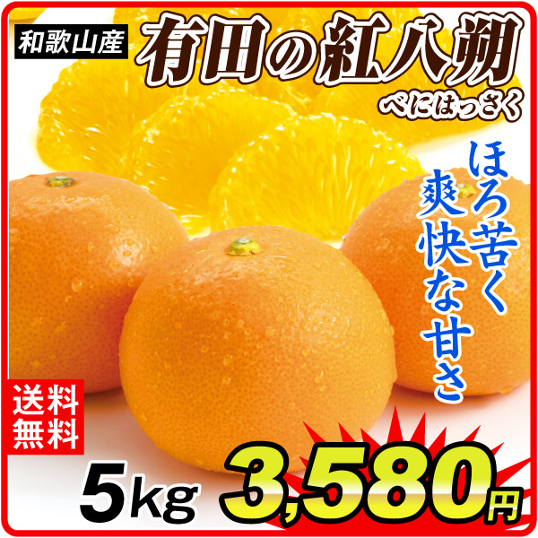 みかん 5kg 有田の紅八朔 はっさく べにはっさく 和歌山産 ご家庭用 送料無料 食品