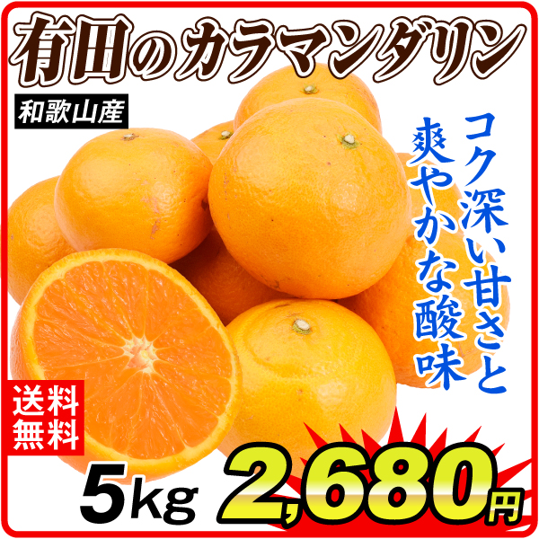 みかん 5kg 有田のカラマンダリン 和歌山産 ご家庭用 送料無料 食品