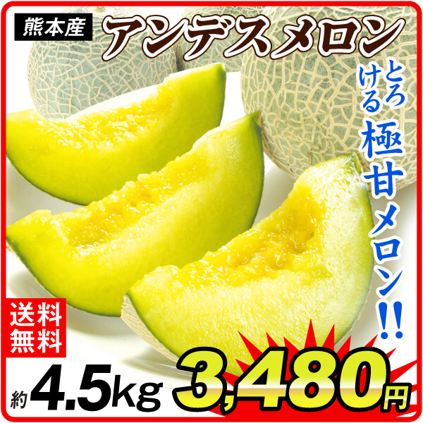 メロン 4.5kg 特価 アンデスメロン ご家庭用 熊本産 送料無料 食品