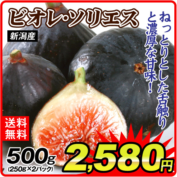 いちじく 約500g ビオレ・ソリエス 新潟産 250g×2パック 希少品種 黒いちじく 冷蔵便 送料無料 食品