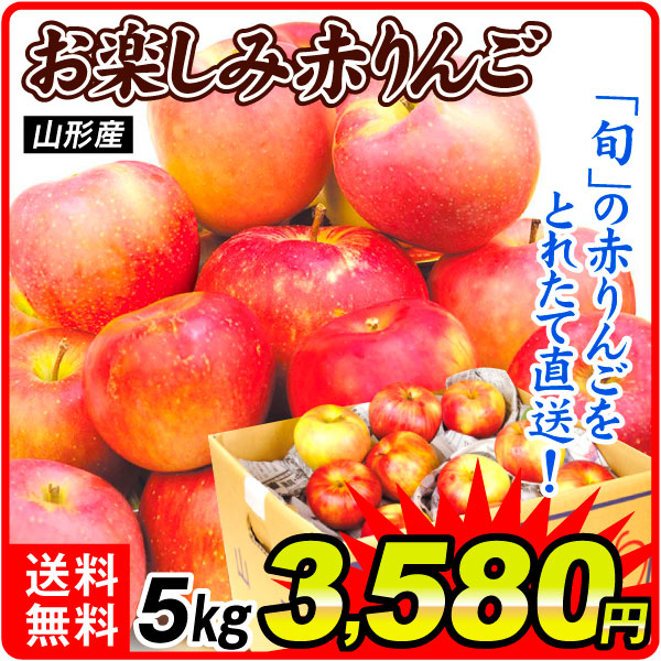 りんご 5kg お楽しみ赤りんご 山形産 送料無料 食品