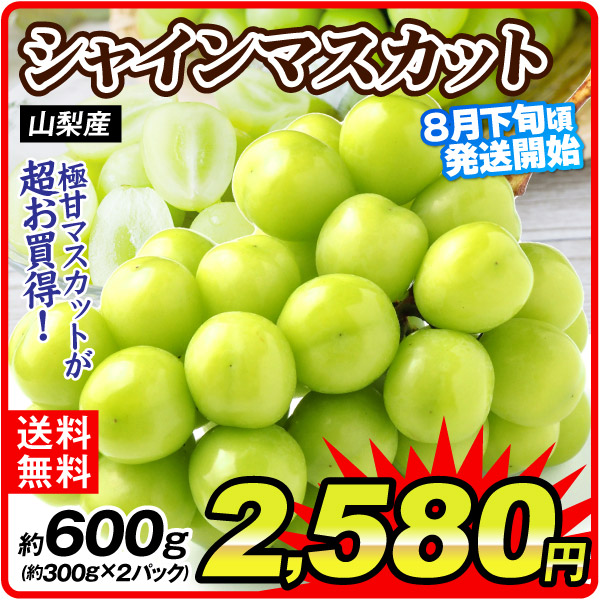 ぶどう 約600g シャインマスカット 山梨産 ご家庭用 8月下旬発送 約300ｇ×2パック 送料無料 食品