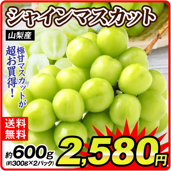 ぶどう 約600g (約300g×2パック) シャインマスカット 山梨産 ご家庭用 極甘 大粒 種なし高級ぶどう 皮ごとOK 葡萄 ブドウ 果物 フルーツ  送料無料 食品