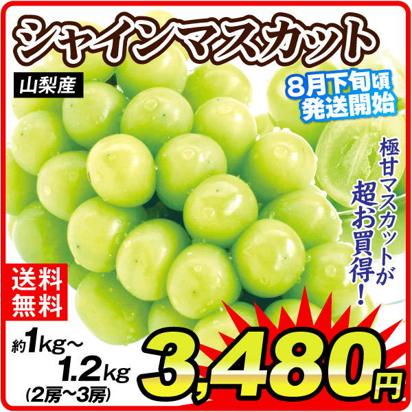 ぶどう 約1kg～1.2kg 2～3房 シャインマスカット 山梨産 8月下旬発送 送料無料 食品