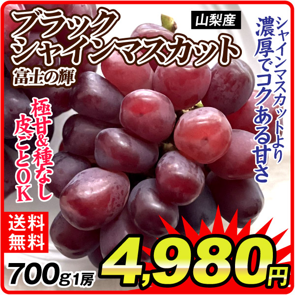 ぶどう 700g 1房 ブラックシャインマスカット 富士の輝 山梨産 種なし 皮ごと 希少品種 黒ぶどう 果物 フルーツ 送料無料 食品