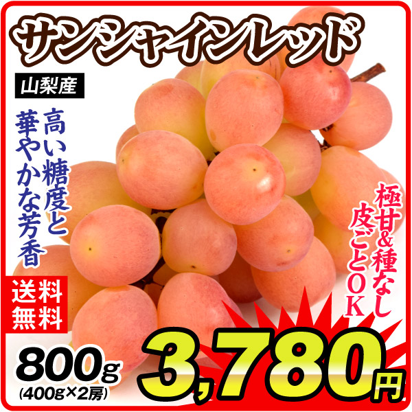 ぶどう 800g （400g×2房） サンシャインレッド 山梨産 種なし 皮ごと 希少品種 赤ぶどう 果物 フルーツ 送料無料 食品
