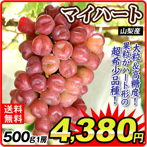 ぶどう 500g 1房 マイハート 山梨産 種なし 皮ごと 希少品種 赤ぶどう 果物 フルーツ 送料無料 食品