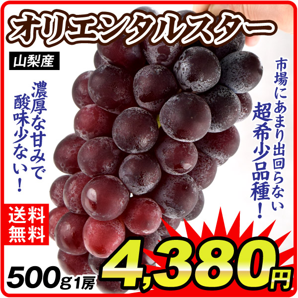 ぶどう 500g 1房 オリエンタルスター 山梨産 種なし 皮ごと 希少品種 黒ぶどう 果物 フルーツ 送料無料 食品
