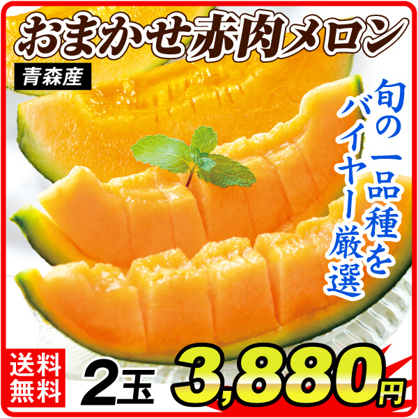 メロン 青森産 おまかせ赤肉メロン 2玉（1玉約1.2～1.5kg） ご家庭用 送料無料 食品 国華園