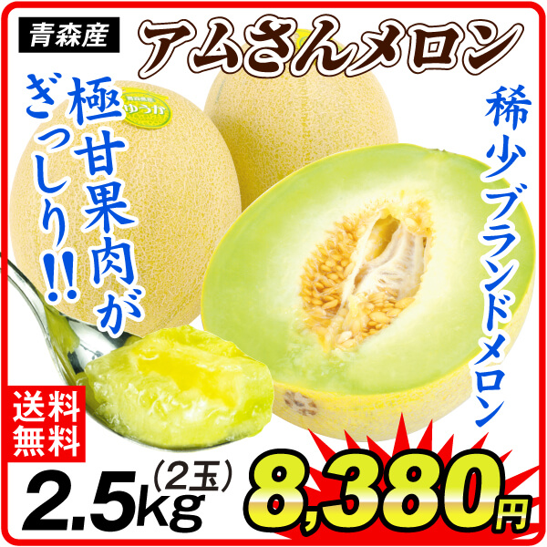 メロン 青森産 アムさんメロン 2.5kg ご家庭用 冷蔵便 送料無料 食品 国華園