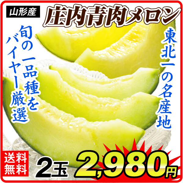 メロン 山形産 庄内青肉メロン 2玉（約2kg） ご家庭用 送料無料 食品 国華園