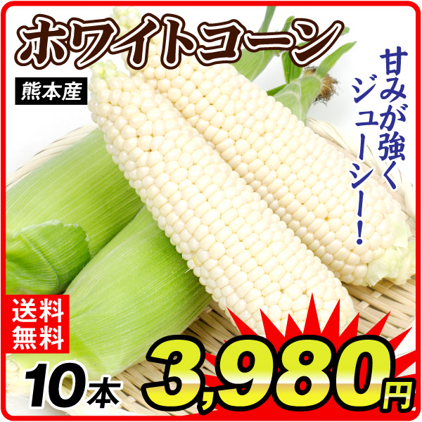 とうもろこし ホワイトコーン 10本 3Lサイズ 熊本産 スイートコーン 白とうもろこし 野菜 冷蔵便 送料無料 食品 国華園