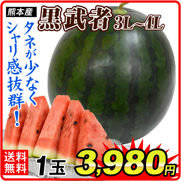 すいか 黒武者 熊本産 1玉 3L～4L 希少品種 送料無料 食品
