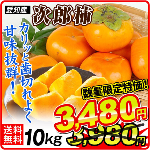 柿 約10kg なかちゃんの 次郎柿 愛知産 甘柿 ご家庭用 人気品種 送料無料 食品