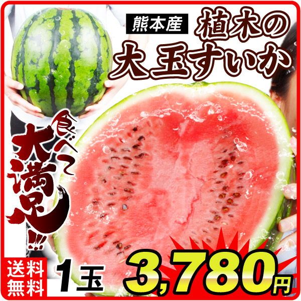 スイカ 1玉 植木の大玉すいか 熊本産 送料無料 食品
