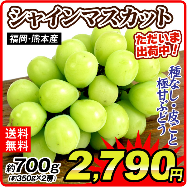 ぶどう 約700g (約350g×2パック) シャインマスカット ただいま出荷中 福岡・熊本産 ご家庭用 葡萄 皮ごとOK 大粒 種なし 果物 フルーツ 送料無料 食品