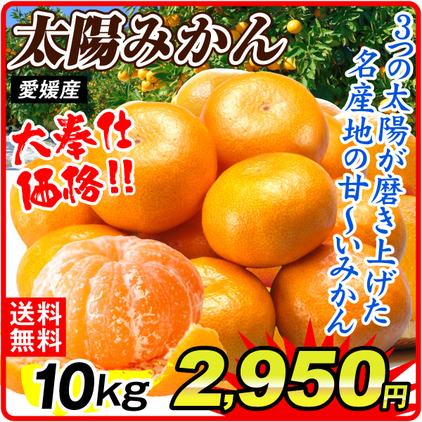 みかん 10kg 太陽みかん 愛媛産 温州みかん 甘い 送料無料 ご家庭用 食品