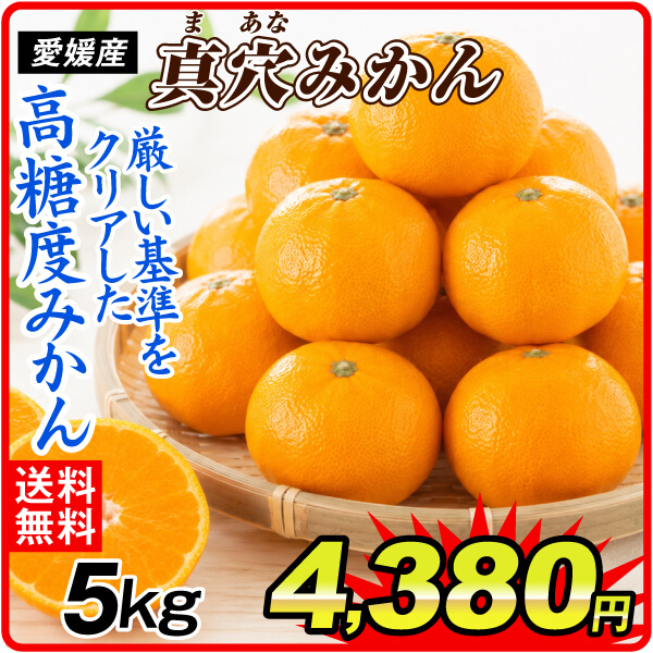 みかん 愛媛産 真穴みかん 5kg ご家庭用 温州みかん ギフト 高糖度 まあな 食品 国華園