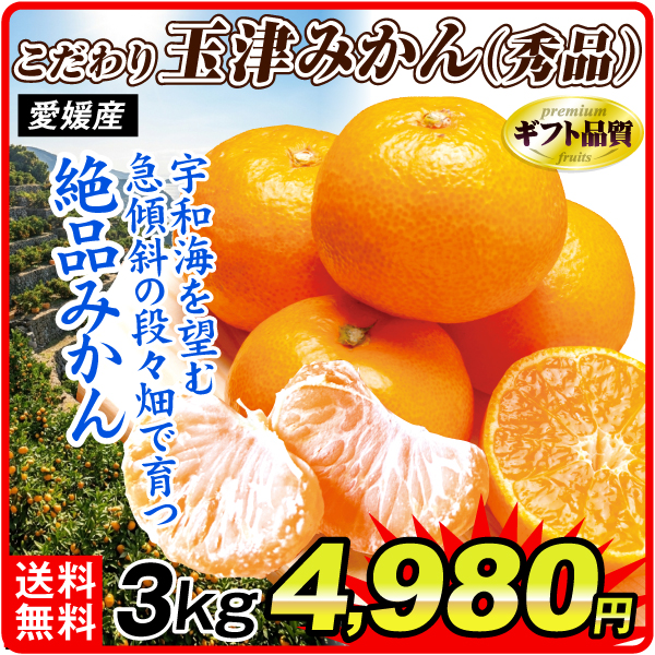 みかん 愛媛産 愛媛こだわり玉津みかん3kg 秀品 温州みかん ギフト 玉津 食品 国華園