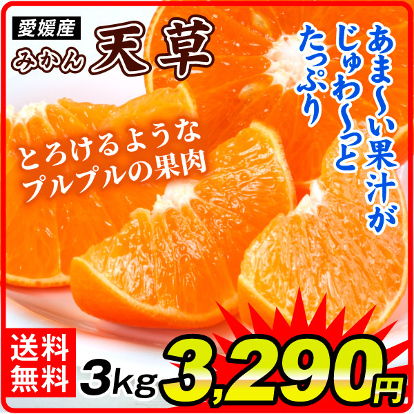 みかん 3kg 天草・あまくさ 愛媛産 ご家庭用 果肉プルプル濃厚な甘み 紅まどんなの親品種 高級かんきつ 送料無料 食品