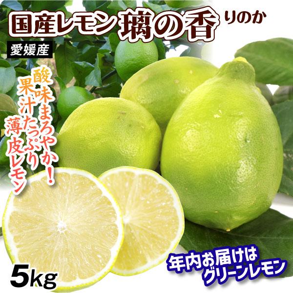 みかん 愛媛産 レモン 璃の香 5kg ご家庭用 食品 国華園