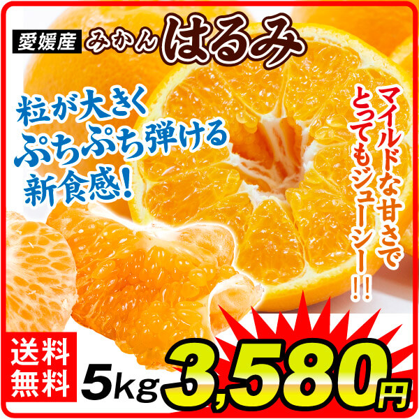 みかん 愛媛産 はるみ 5kg ご家庭用 食品 国華園