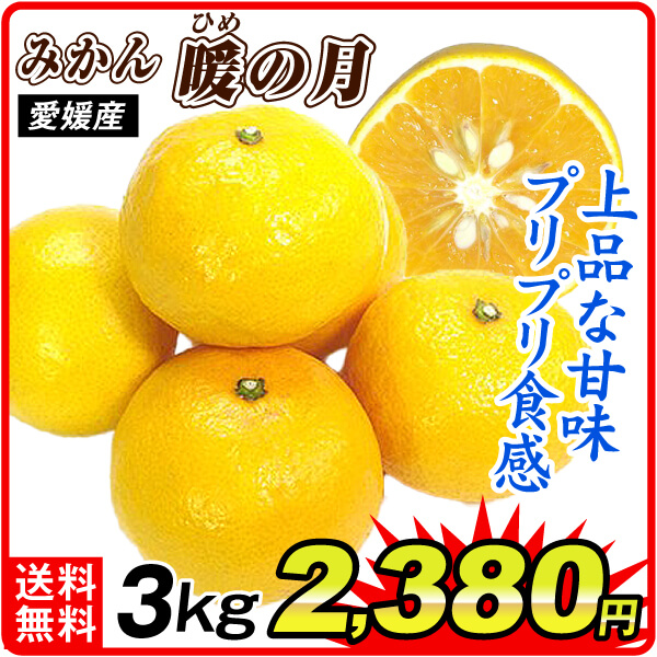みかん 愛媛産 媛の月 3kg ご家庭用 食品 国華園