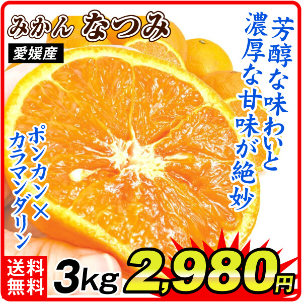 みかん 愛媛産 ご家庭用 なつみ 3kg 食品 国華園