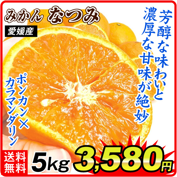 みかん 愛媛産 ご家庭用 なつみ 5kg 食品 国華園