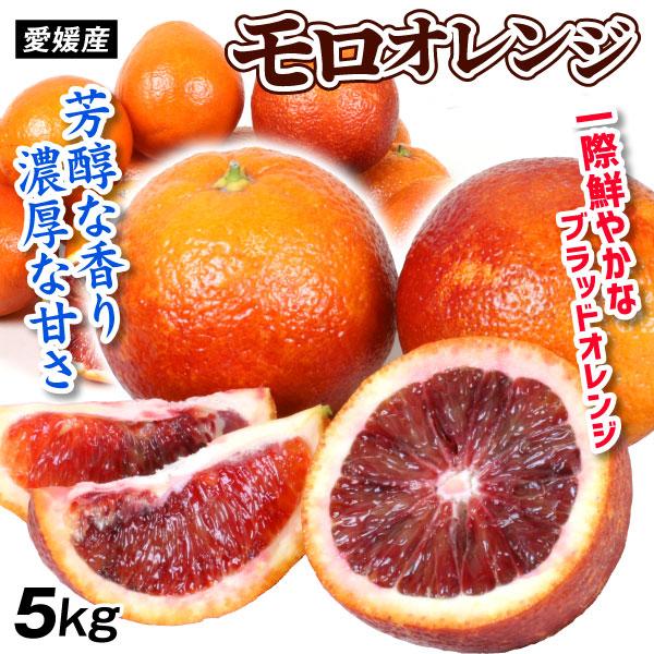 みかん 愛媛産 ブラッドオレンジ モロ 5kg ご家庭用 食品 国華園