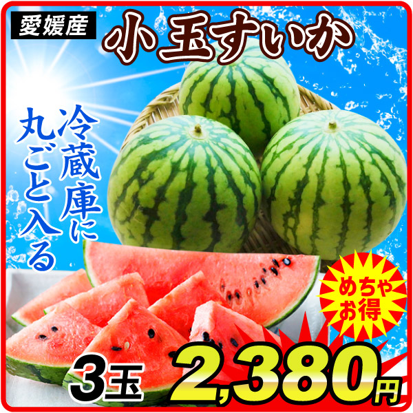 すいか 3玉 愛媛産 小玉すいか ひとりじめ・姫甘泉いずれかでお届け 送料無料 西瓜 食品 国華園