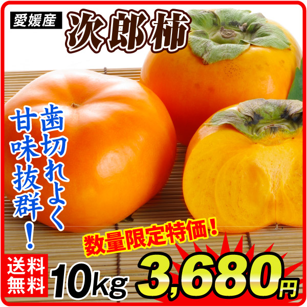柿 10kg 次郎柿 ご家庭用 愛媛産 ご家庭用 送料無料 食品