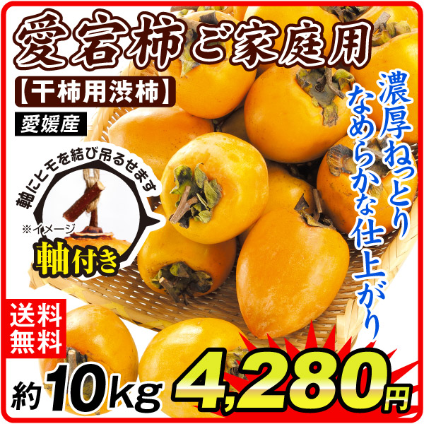 柿 10kg 愛宕柿 渋柿 大特価 愛媛産 宇和島 あたご柿 干柿用 ご家庭用 数量限定 T字軸付 国華園