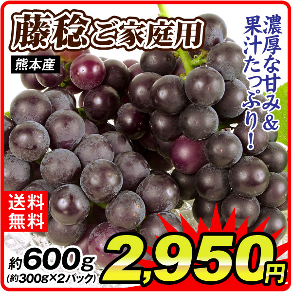 ぶどう 約600g (約300g×2パック) 藤稔 ご家庭用 熊本産 葡萄 果物 フルーツ 冷蔵便 送料無料 食品