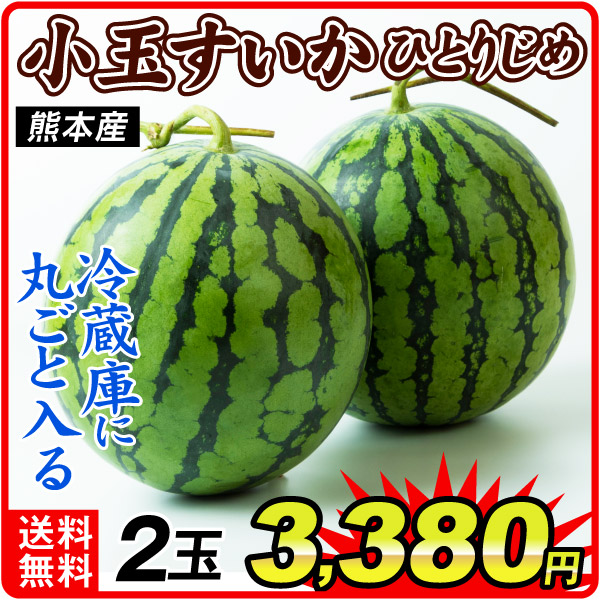 小玉すいか ひとりじめ 2玉 熊本産 送料無料 食品 国華園