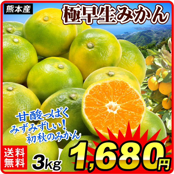 みかん 3kg 旬を先取り 極早生みかん 熊本産 ご家庭用 温州みかん みずみずしく爽やか 青切 運動会みかん 送料無料 食品