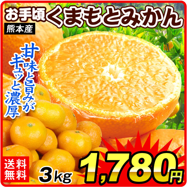 みかん 3kg お手頃 くまもとみかん 熊本産 ご家庭用 早生みかん 温州みかん 甘みと旨みがギュッと濃厚 送料無料 食品