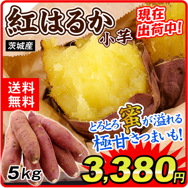 さつまいも 5kg 紅はるか 小芋 ご家庭用 茨城産 送料無料 食品