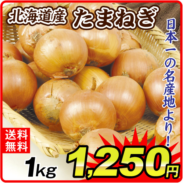 たまねぎ 1kg たまねぎ 北海道産 送料無料 食品