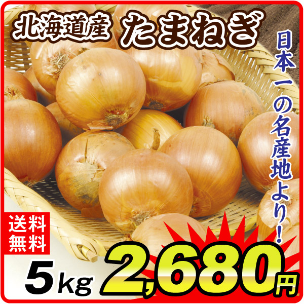たまねぎ 5kg たまねぎ 北海道産 送料無料 食品