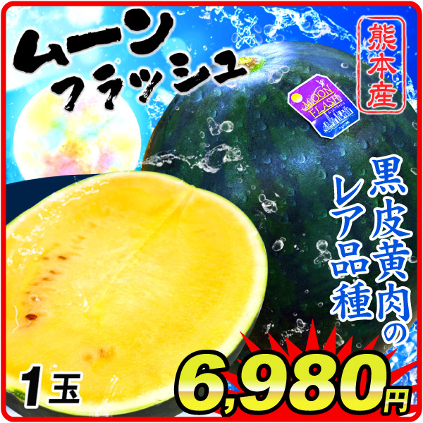 国華園 スイカ 1玉 ムーンフラッシュ 熊本産 ただいま出荷中 送料無料 食品