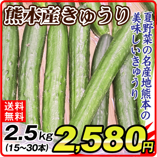 きゅうり 2.5㎏ 15本～30本 熊本産 野菜  毎日の食卓に 冷蔵便 送料無料 食品